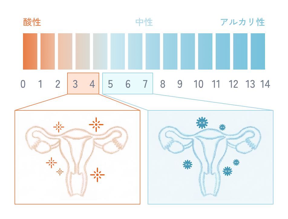 pH値の変化